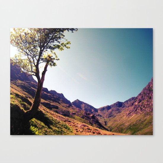 tree side. Canvas Print