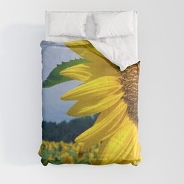 Sunflower in Paris Comforter