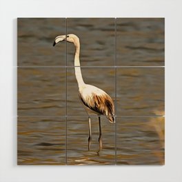 Perfection Takes Time Flamingo Fledgling Art Wood Wall Art