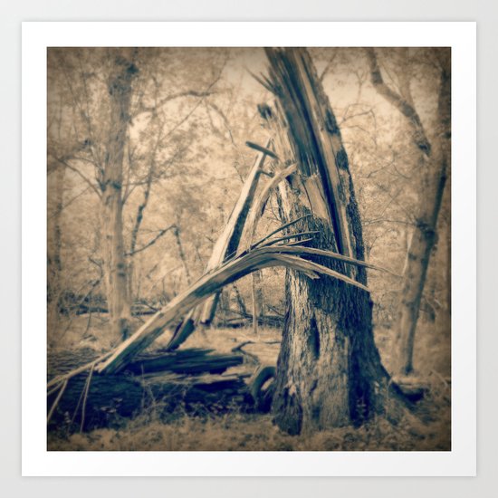 Ever after Art Print