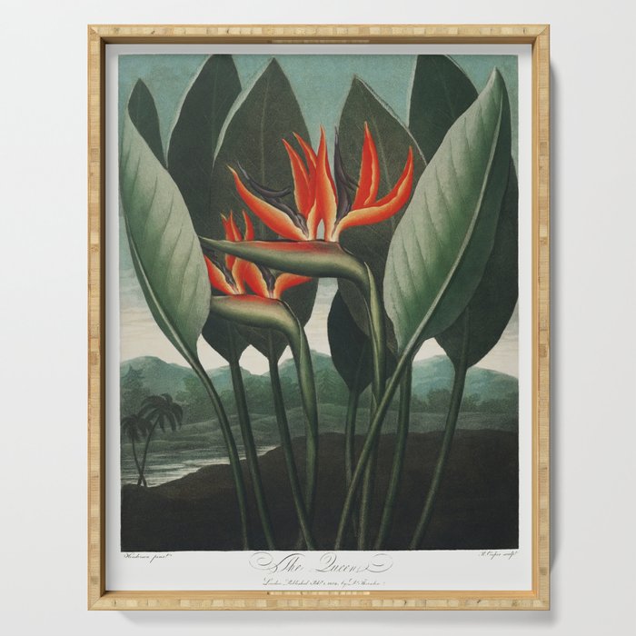 The Queen Temple of Flora x Bird of Paradise Vintage Painting Serving Tray