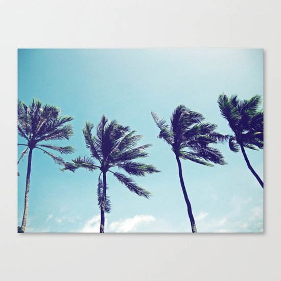 Palm Trees Canvas Print
