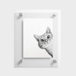 sneaky cat Floating Acrylic Print