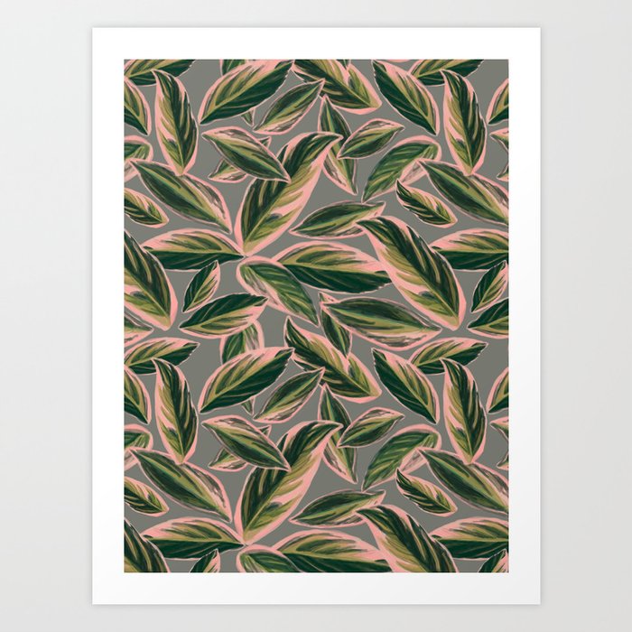 Calathea Leaves Pattern- Pink Green Gray Art Print