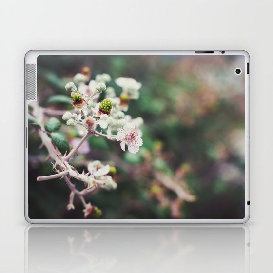 Rubus Laptop & iPad Skin