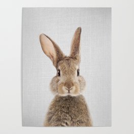Rabbit - Colorful Poster