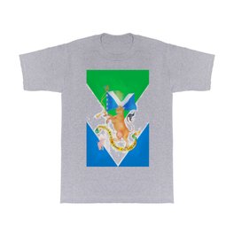 Flag of Compassion T Shirt