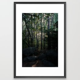 Woods at Sunset – Ashley Lambros Framed Art Print
