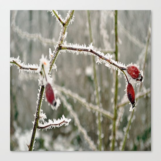 ice nature Canvas Print