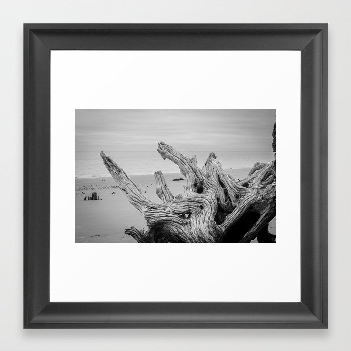 Driftwood on Boneyard Beach Florida 4 Black and White Rustic Coastal Landscape Photo Framed Art Print