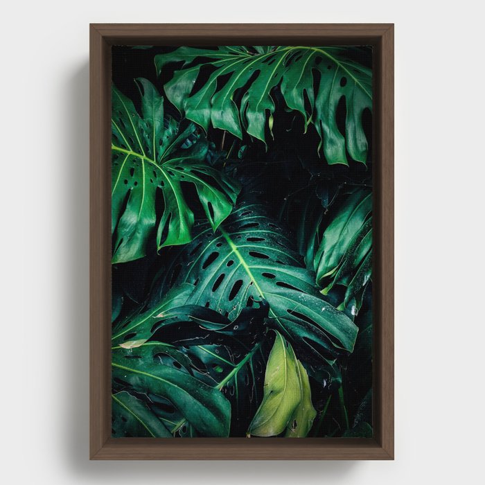 Plant Framed Canvas