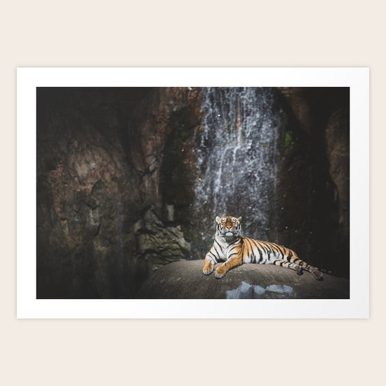 Big Cat 2 Art Print