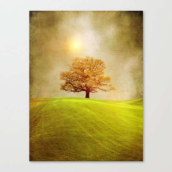 Energy & love Canvas Print