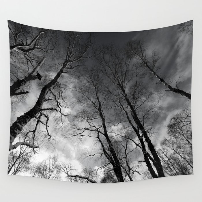 Black and White Birch Trees in the Depth of Winter, in the Scottish Highlands. Wall Tapestry