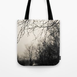 After The Rain Tote Bag