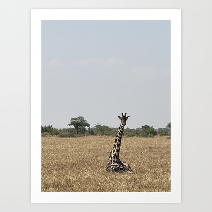 Graceful Giraffe Art Print