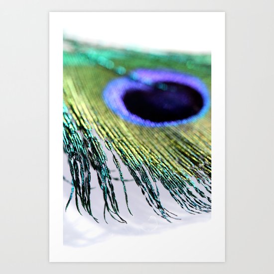 peacock II Art Print