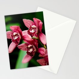 Red Orchid Stationery Card