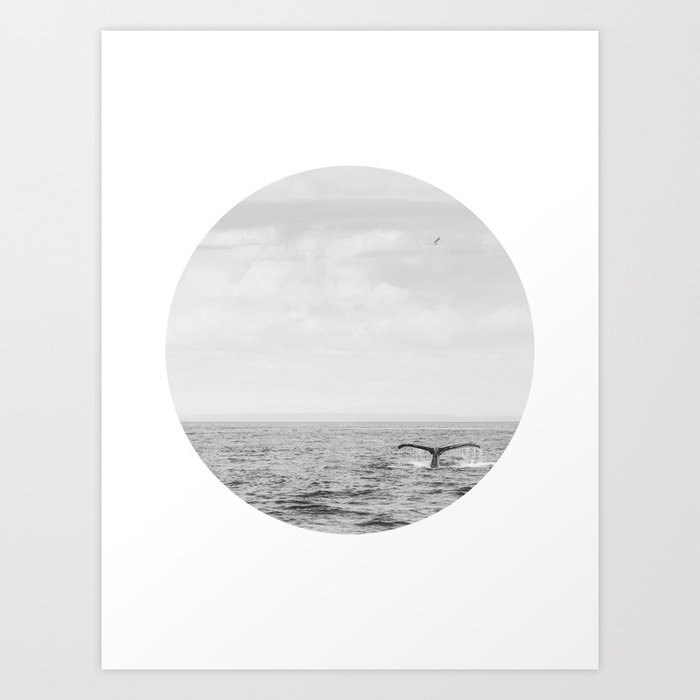Black and White Whale Tail Circle Photograph No. 1 Art Print