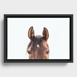peekaboo horse, bw horse print, horse photo, equestrian, equestrian photo, equestrian decor Framed Canvas
