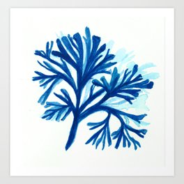 Seaweed 2 Art Print