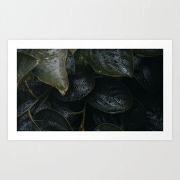 leaves plant drops macro dark Art Print