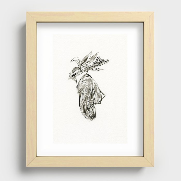 cocoon cycle butterfly-caterpillar  Recessed Framed Print