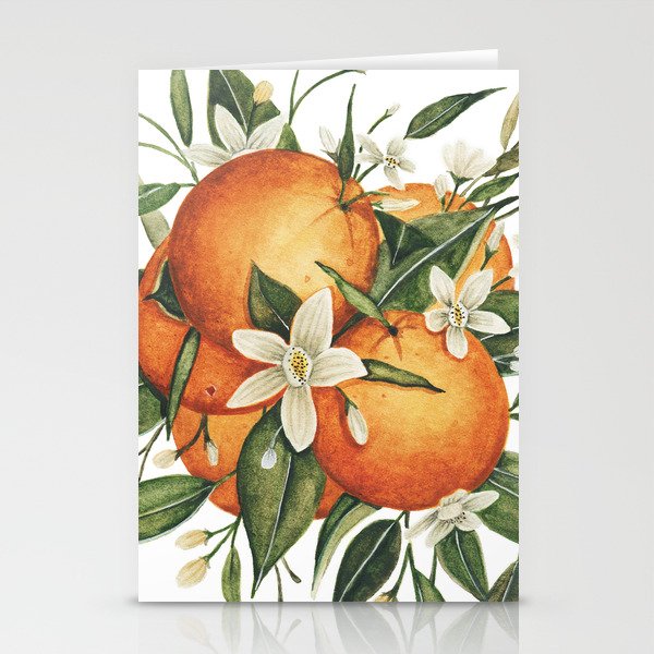 Orange Blossoms Stationery Cards