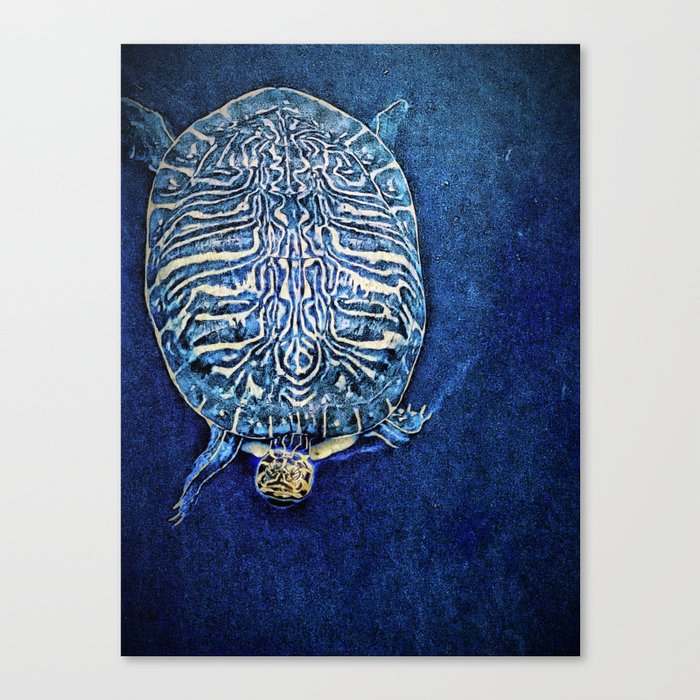 The Wisdom of the Sea Turtle Canvas Print