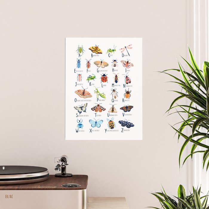 Insect Alphabet