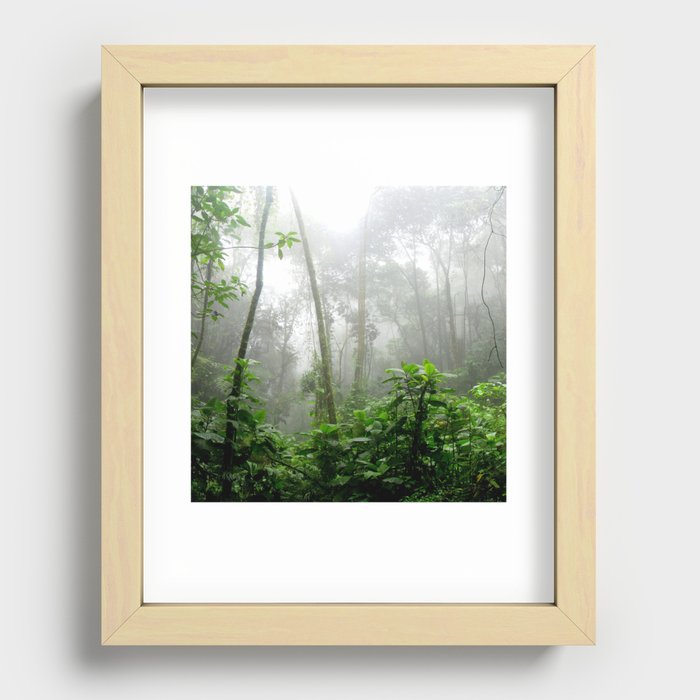 Brazil Photography - Moisty Rain Forest With Wet Leaves Recessed Framed Print