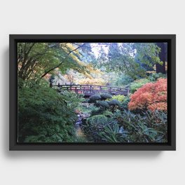Japanese Garden Framed Canvas