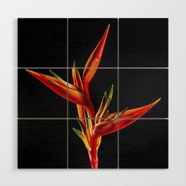 Bird of Paradise Wood Wall Art