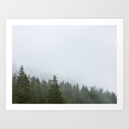 Moody Foggy Forest Landscape Photography Art Print