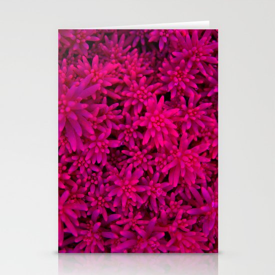 purple Stationery Cards