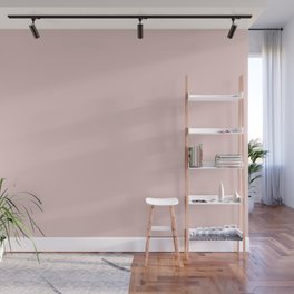 Light Pastel Pink Solid Color Accent Shade Matches Sherwin Williams Rosy Outlook SW 6316 Wall Mural