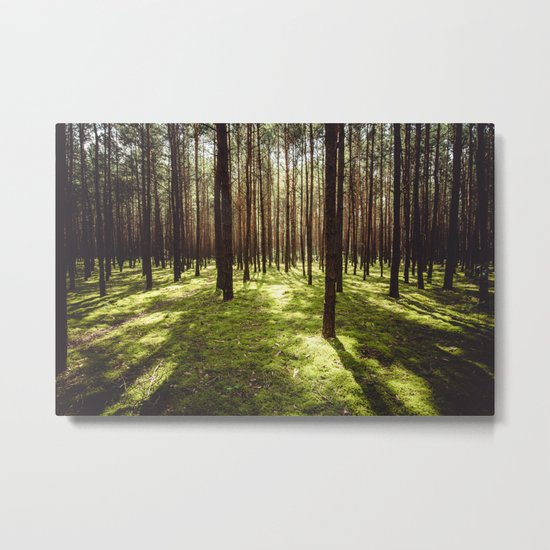 FOREST Metal Print