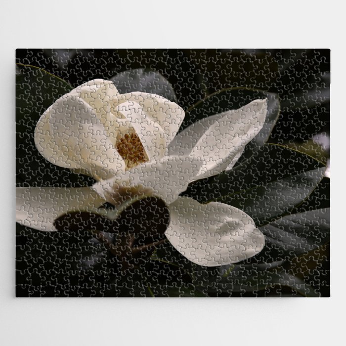 June Magnolia #1 - Modern Photograph Jigsaw Puzzle
