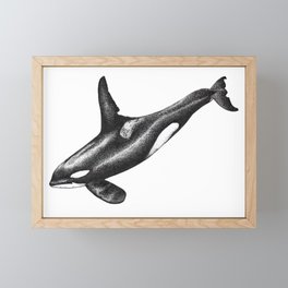 Orca killer whale ink art Framed Mini Art Print