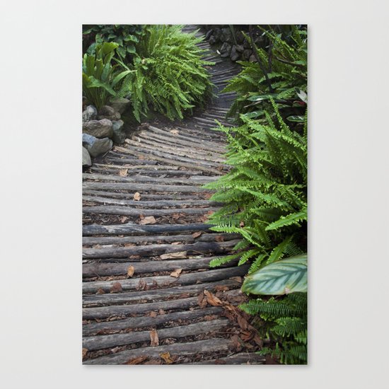 Road in the forest Canvas Print