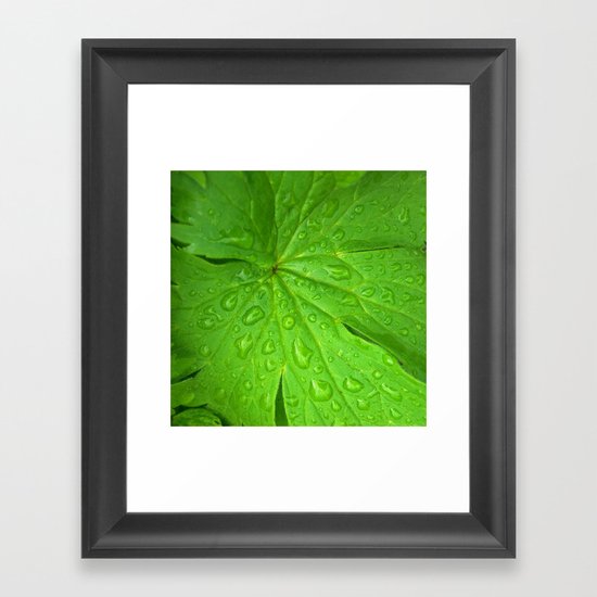 green leaf II Framed Art Print