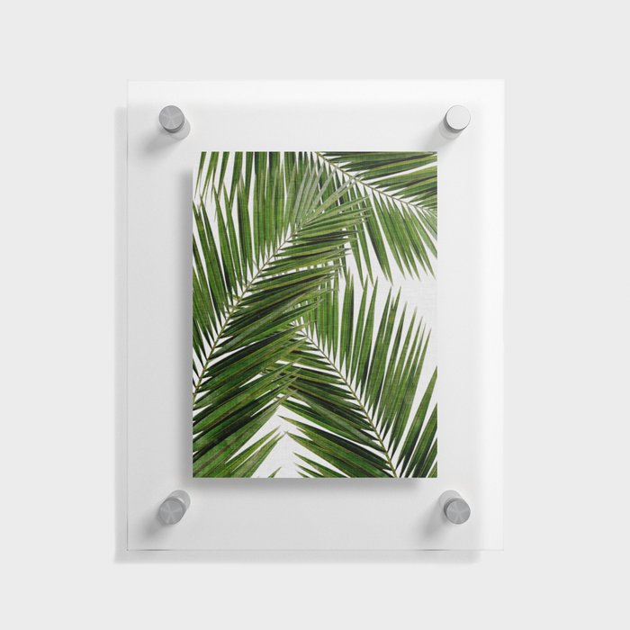 Palm Leaf III Floating Acrylic Print