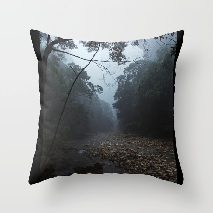 Rain, river, forest Throw Pillow