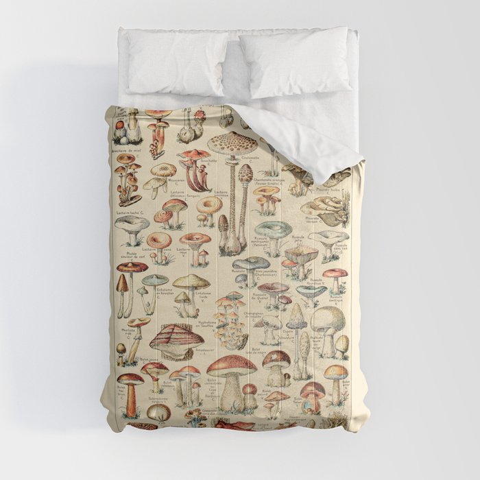 Trippy Vintage Mushroom Chart // Champignons by Adolphe Millot 19th Century Science Artwork Comforter