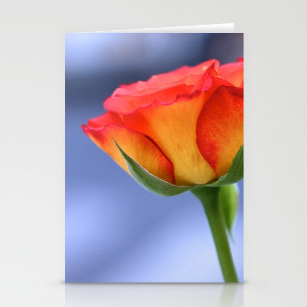 "Love planted a rose and the world turned sweet" Stationery Cards
