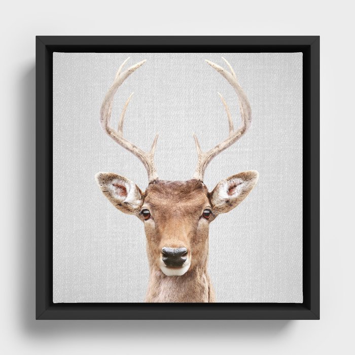 Deer 2 - Colorful Framed Canvas