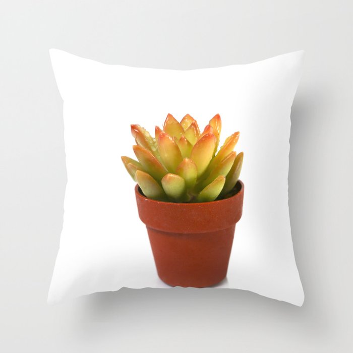 Sedum succulent plant on a white background Throw Pillow