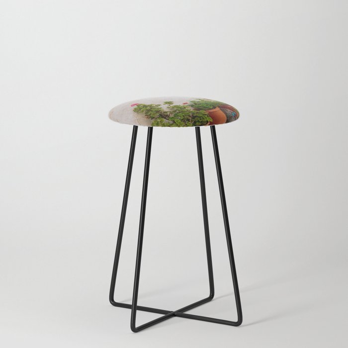Greek Still Live with Plants | Colorful Travel Scene | Minimalistic Photography Counter Stool