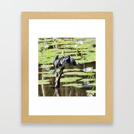 Birdlife Laundry Day Framed Art Print