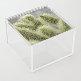 Yellow Cactus Up Close Acrylic Box